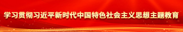 大吊尻逼视频免费观看学习贯彻习近平新时代中国特色社会主义思想主题教育